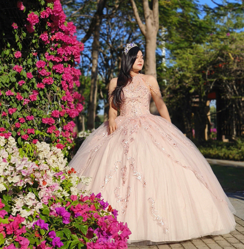 ) Adult gowns, tailored fit, eternal charm.